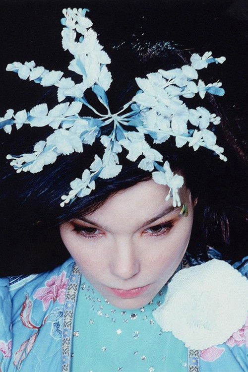 Björk - The Creative Universe of a Music Missionary (2015) poster