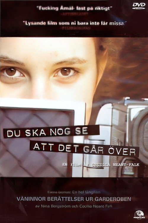 Don't You Worry, It Will Probably Pass (2003) poster