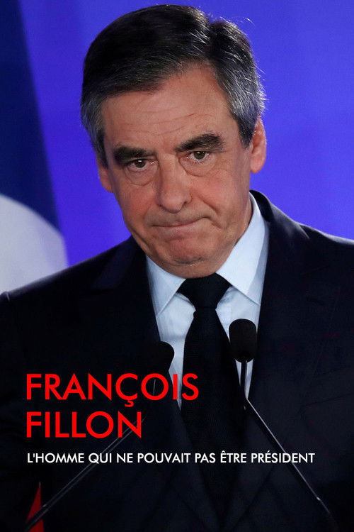 François Fillon, l'homme qui ne pouvait pas être président (2018) poster