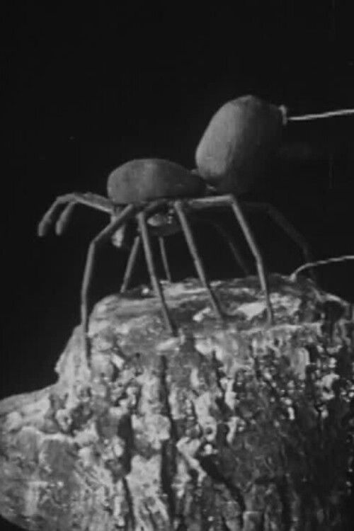 To Demonstrate How Spiders Fly (1909) poster