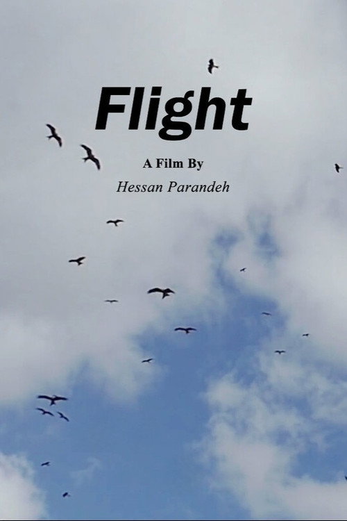 Flight (2023) poster