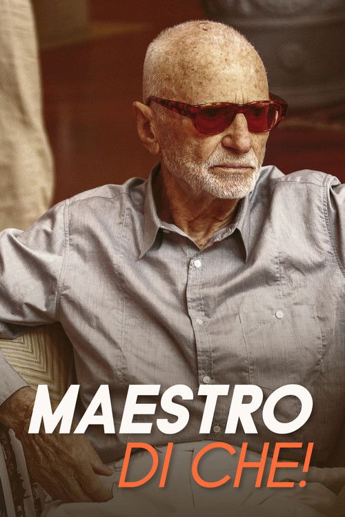 Maestro di che! (2011) poster