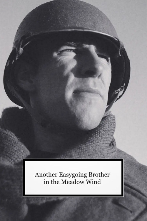 Another Easygoing Brother in the Meadow Wind (2014) poster