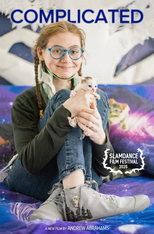 Complicated (2025) poster