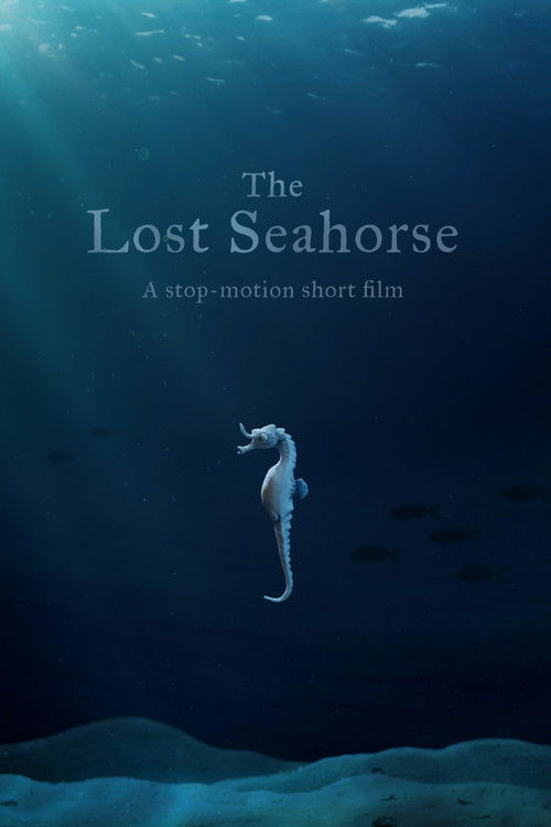 The Lost Seahorse (2021) poster