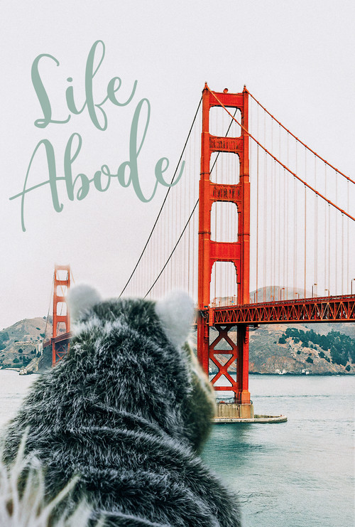 Life Abode (2021) poster