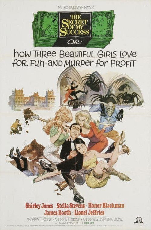 The Secret of My Success (1965) poster