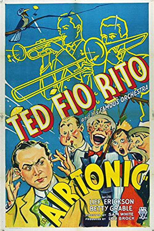 Air Tonic (1933) poster
