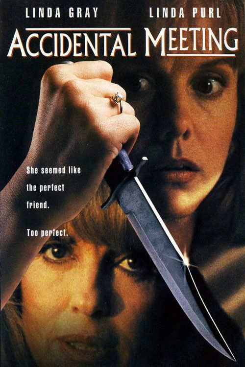 Accidental Meeting (1994) poster