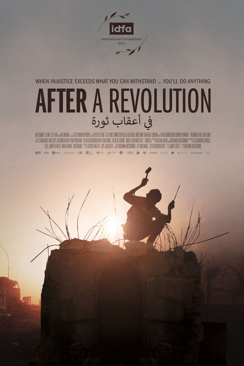After A Revolution (2021) poster