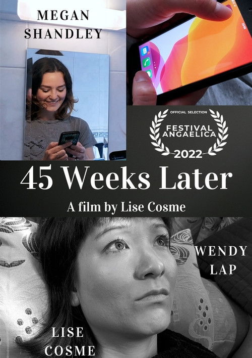 45 Weeks Later (2022) poster