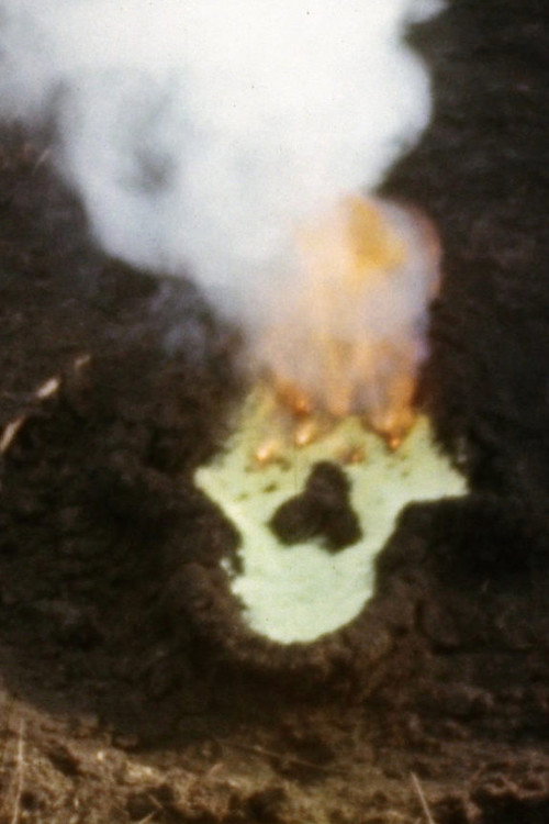 Fundamento Palo Monte (Silueta Series, Gunpowder Works) (1980) poster