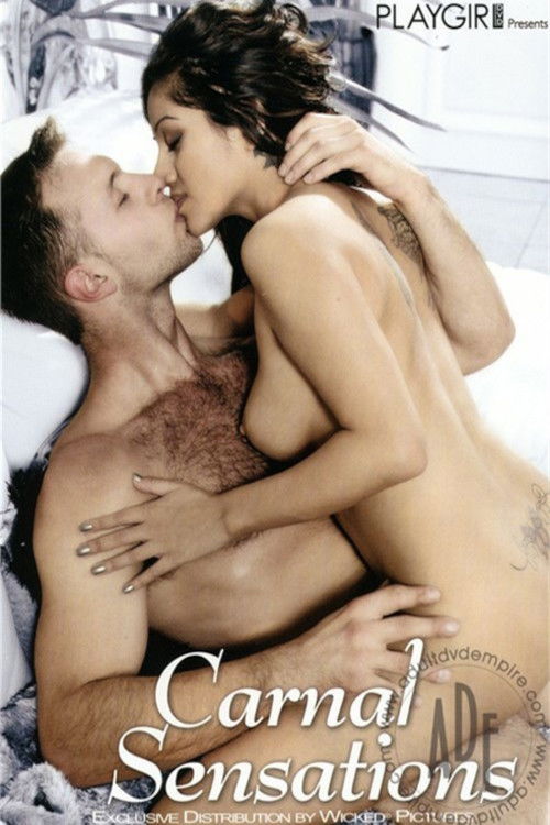 Playgirl: Carnal Sensations (2009) poster