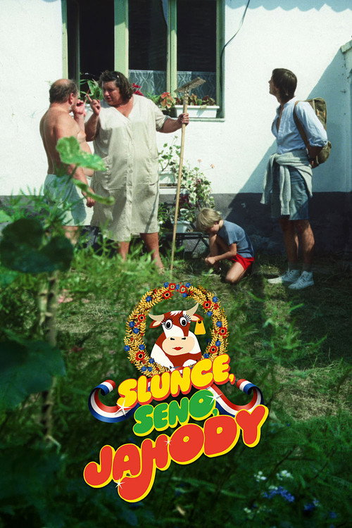 Slunce, seno, jahody (1984) poster