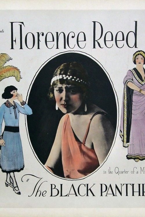 The Black Panther's Cub (1921) poster