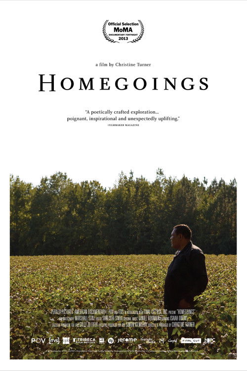 Homegoings (2013) poster