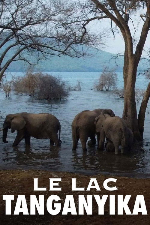 Le lac Tanganyika, la source de vie de l'Afrique (2020) poster