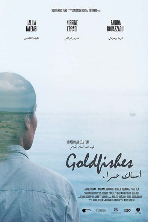 Goldfishes (2022) poster
