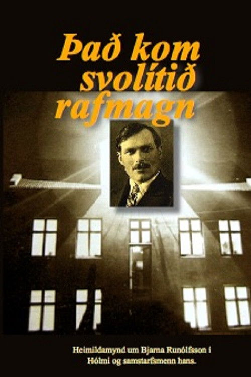 The Electrical Farmer (1999) poster