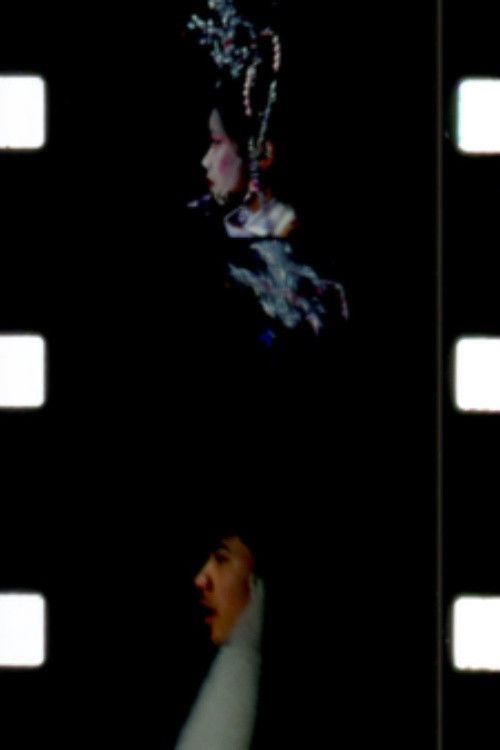 year of the rabbit (2011) poster