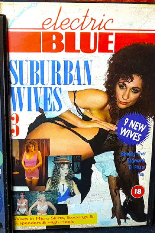 Electric Blue: Suburban Wives 3 (1991) poster