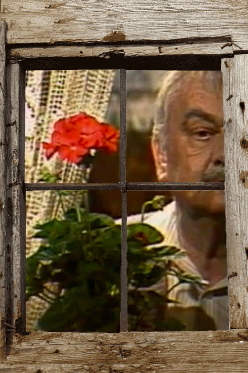 Be Like the Sun (1985) poster