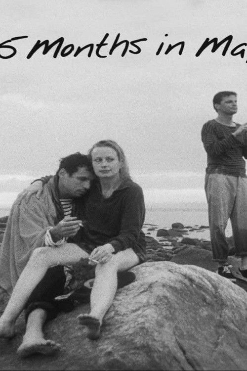 15 Months in May (1997) poster