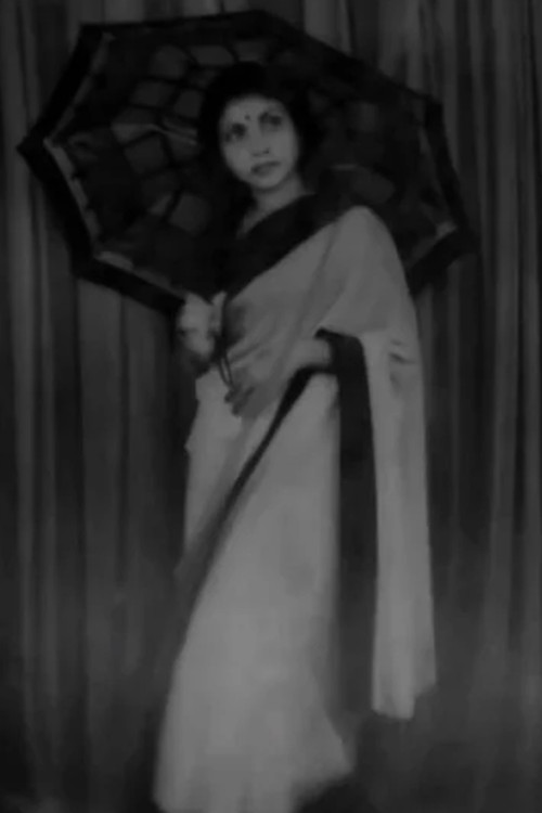 Photographs of a School Teacher (2013) poster