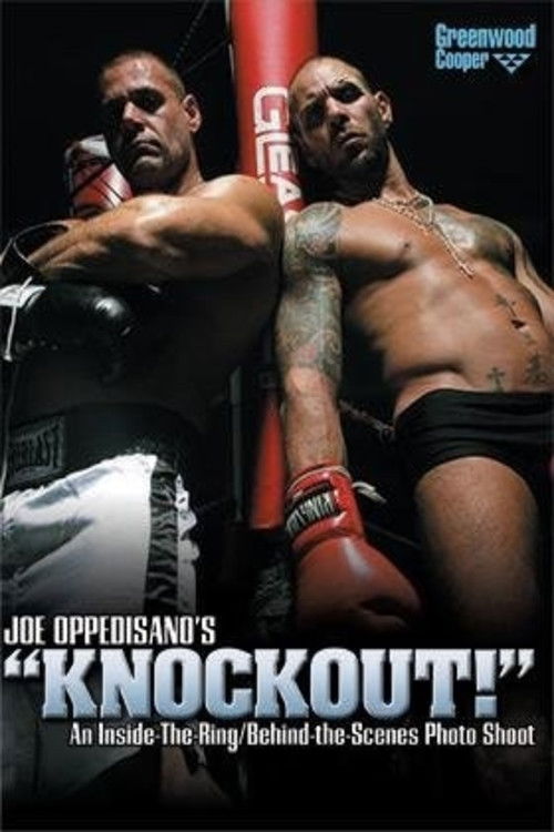 Knockout! (2008) poster