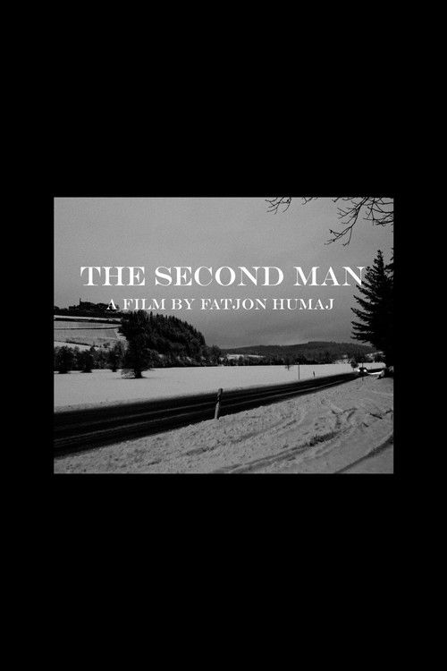 The Second Man (2021) poster