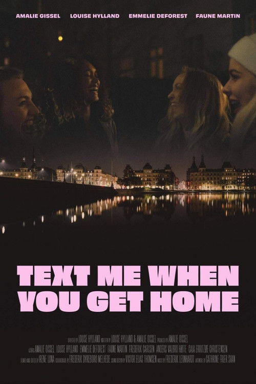 Text Me When You Get Home poster