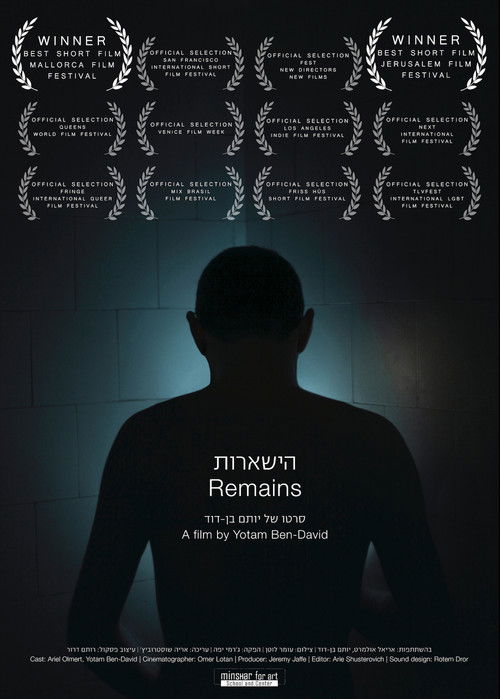 Remains (2013) poster