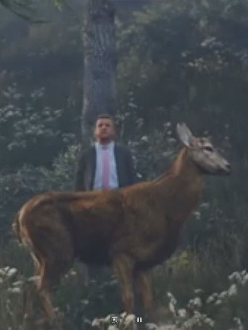 The Deer Gift (2020) poster