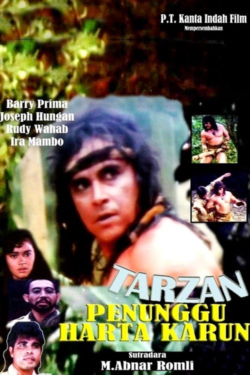 Tarzan: Treasure Watcher (1990) poster