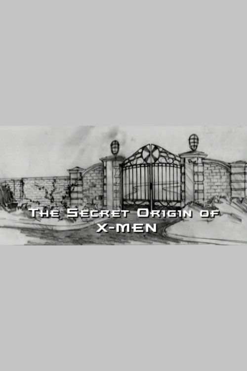 The Secret Origin of X-Men (2003) poster