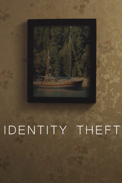 Identity Theft (2015) poster