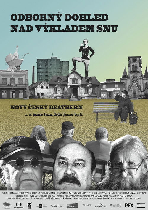 Odborný dohled nad výkladem snu (2018) poster