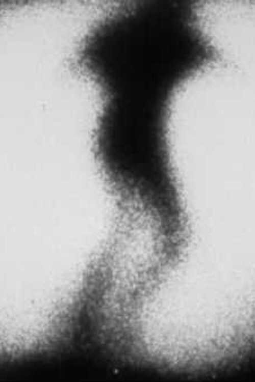 Silver Surfer (1972) poster