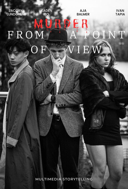 Murder, From a Point of View (2025) poster
