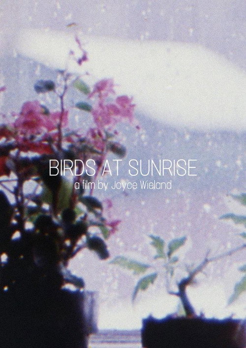 Birds at Sunrise (1986) poster