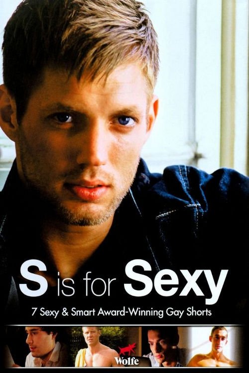 S is for Sexy (2008) poster