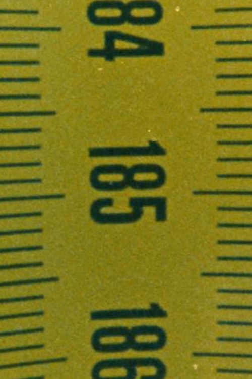 Measuring time (15 meters) (2023) poster