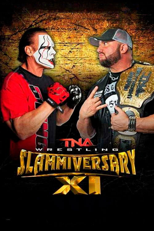 TNA Slammiversary XI (2013) poster