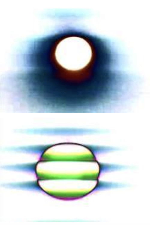 Affection Exonerate (2008) poster