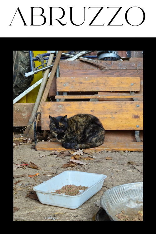Abruzzo (2024) poster