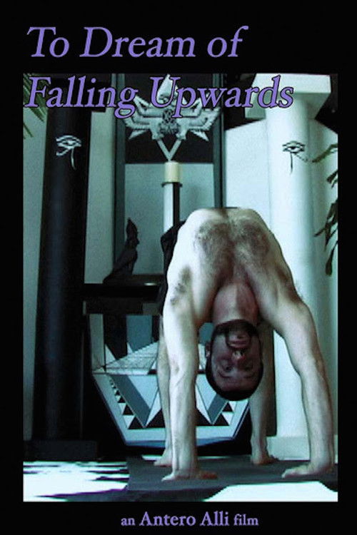 To Dream of Falling Upwards (2011) poster