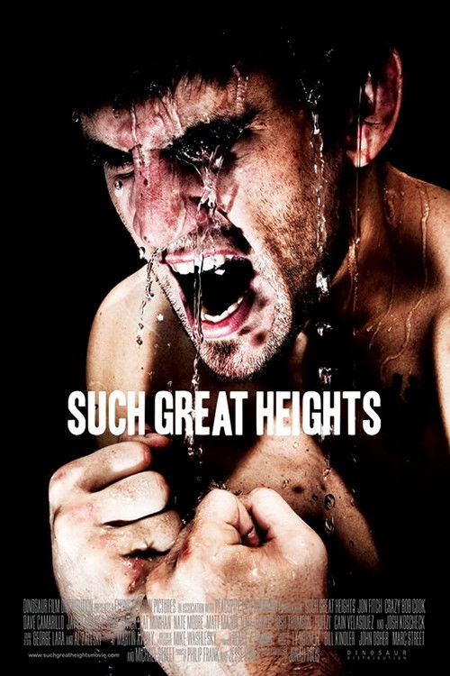 Such Great Heights (2012) poster