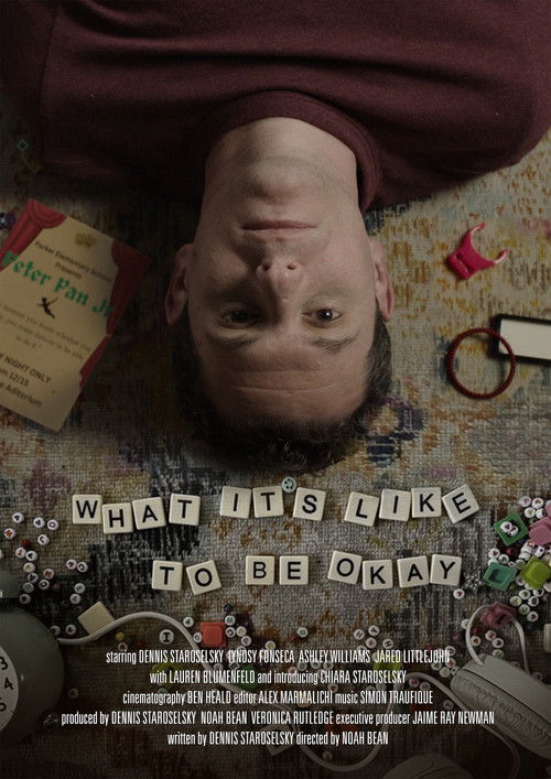What It’s Like to Be Okay (2025) poster