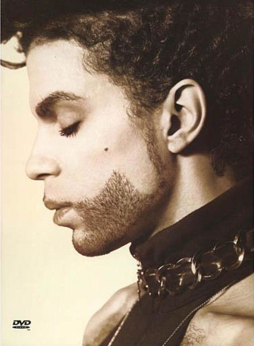 Prince: The Hits Collection (1993) poster