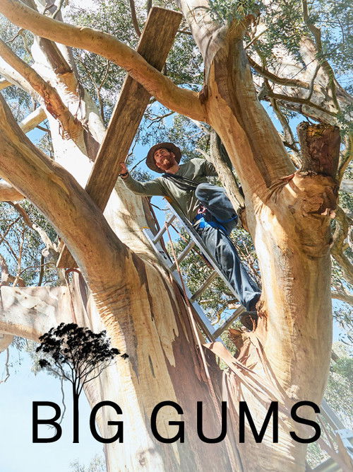 Big Gums (2020) poster